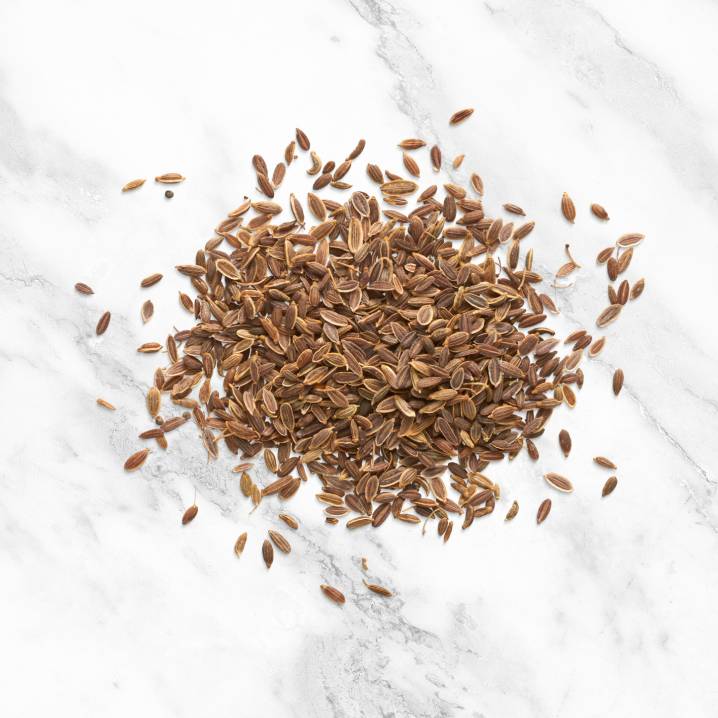 Best Organic Fennel Seed