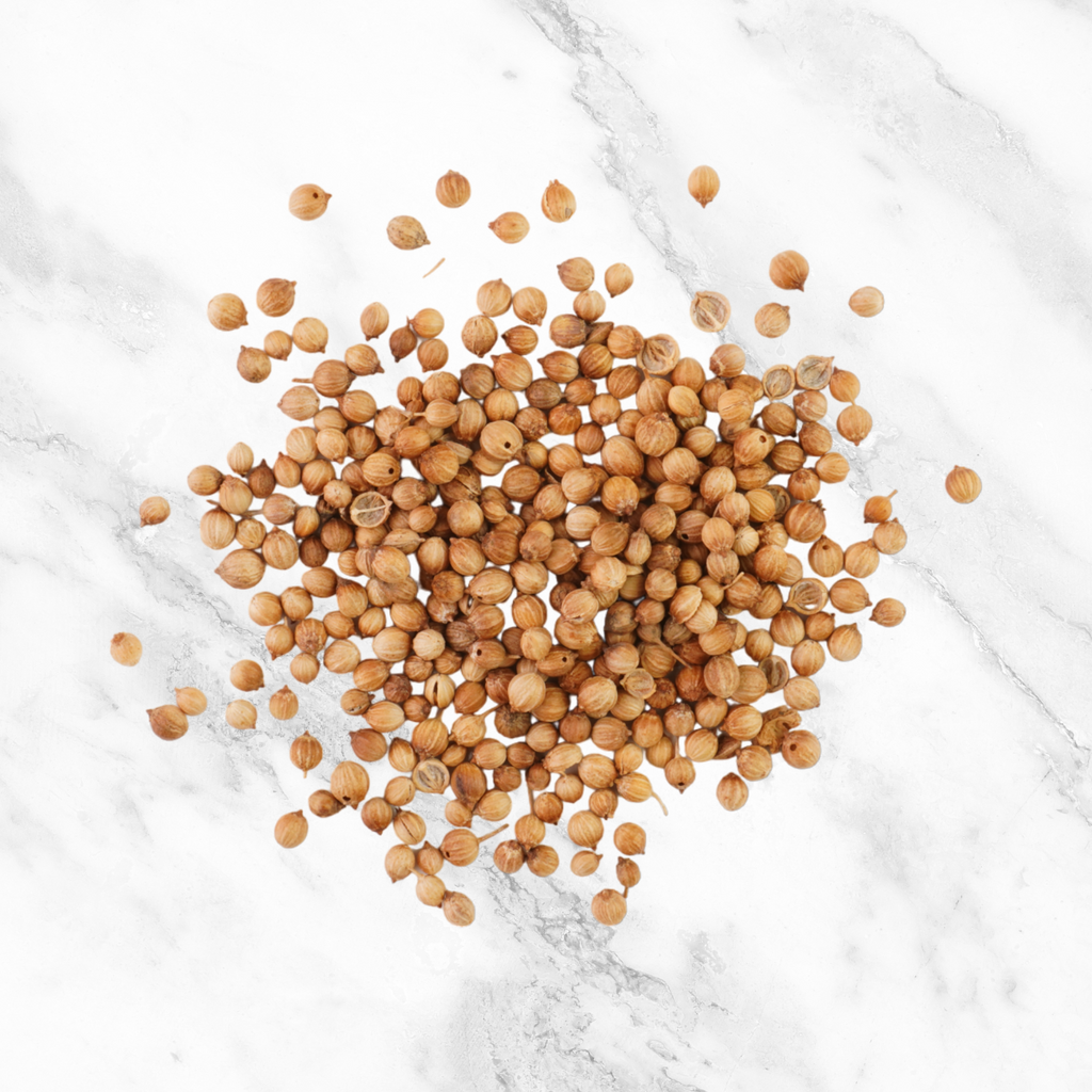 Graines de Coriandre