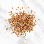 Graines de Coriandre